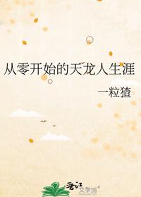 从零开始的天龙人生涯